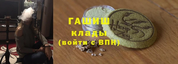 индика Бородино