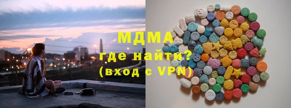 индика Бородино