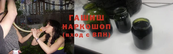 индика Бородино