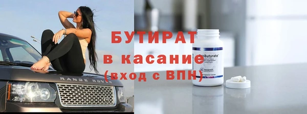 индика Бородино