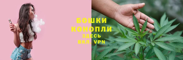 индика Бородино