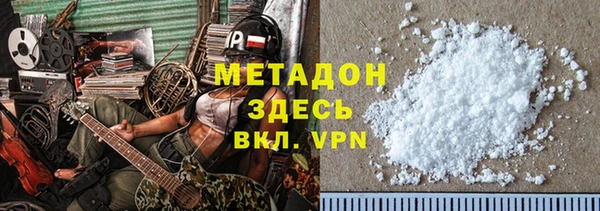 индика Бородино