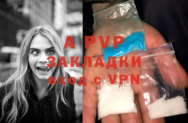 индика Бородино