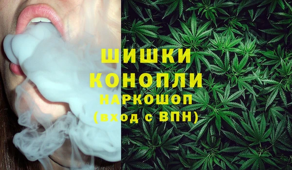 ПСИЛОЦИБИНОВЫЕ ГРИБЫ Верхний Тагил