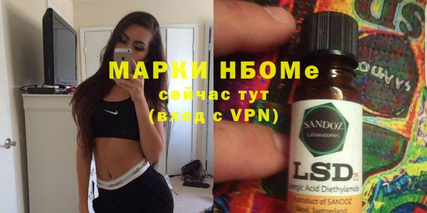 индика Бородино