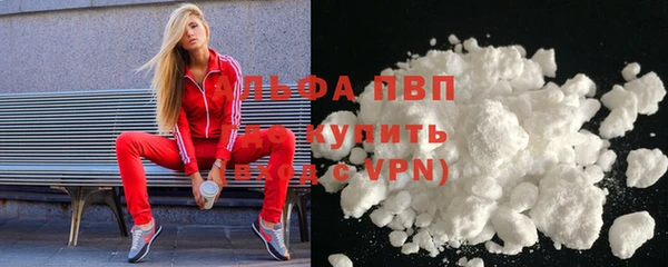 индика Бородино