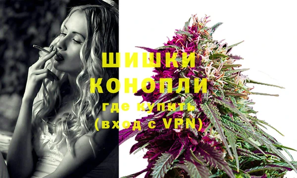 индика Бородино