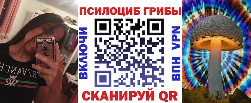 дарнет шоп  Будённовск  Галлюциногенные грибы Psilocybe 